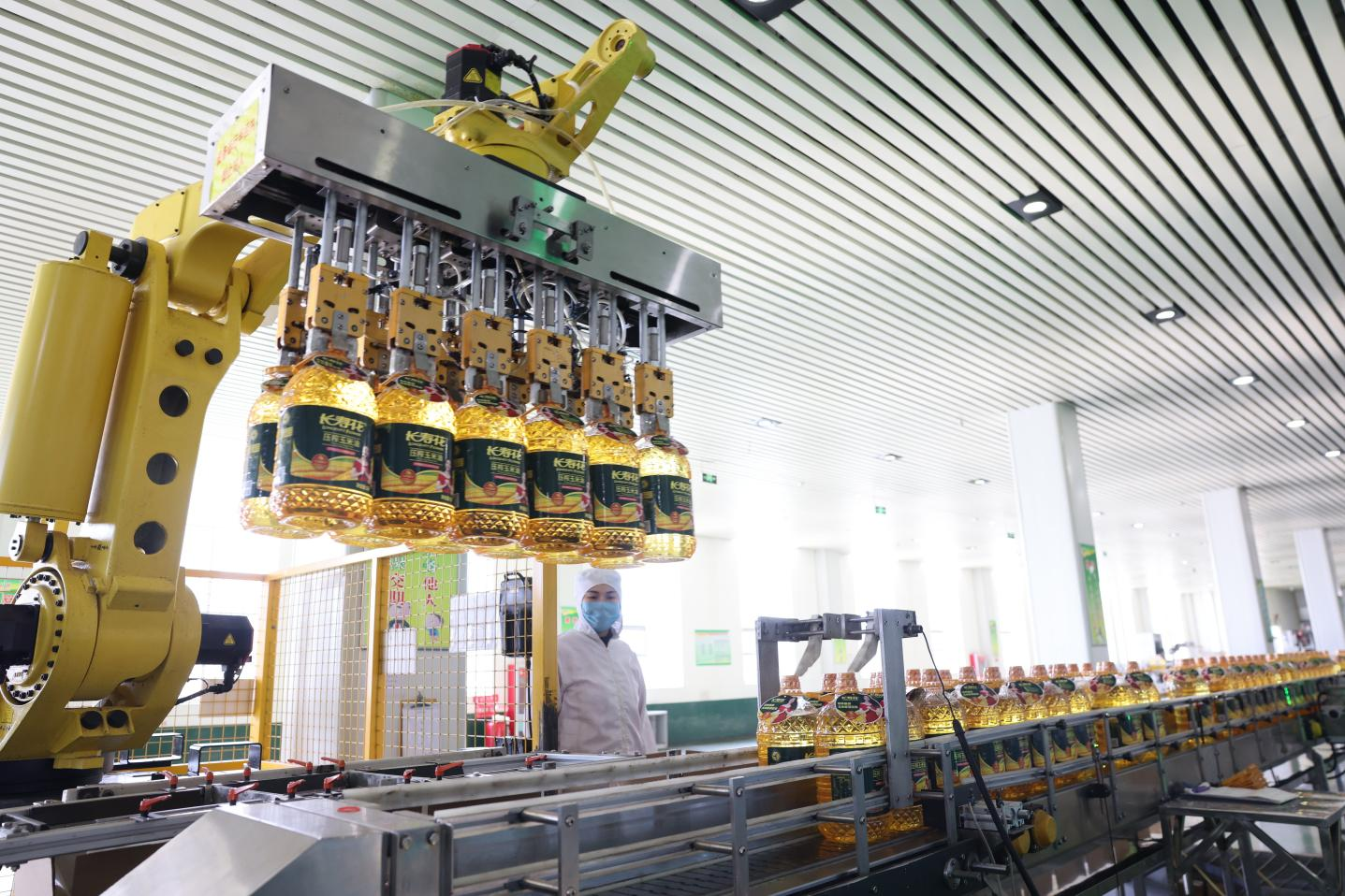 長壽花食品:定向發(fā)力夯實生產(chǎn)管控 創(chuàng)新驅(qū)動激活生產(chǎn)效能