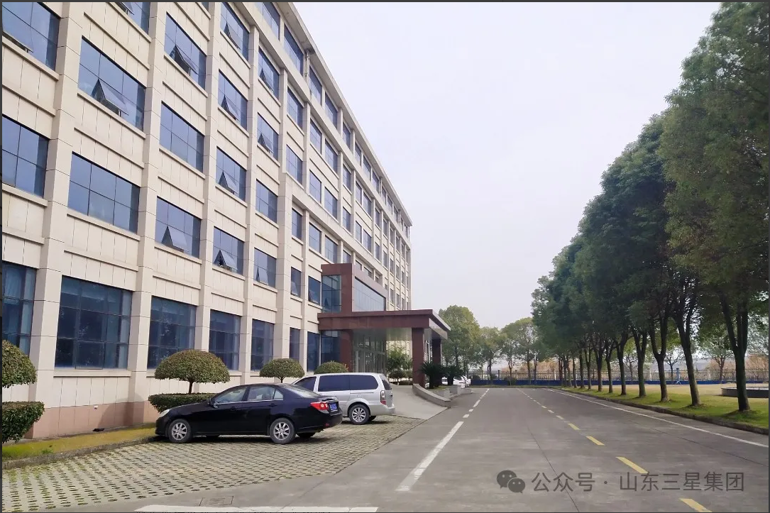 【文韻三星】長駐在三星 心系長壽花