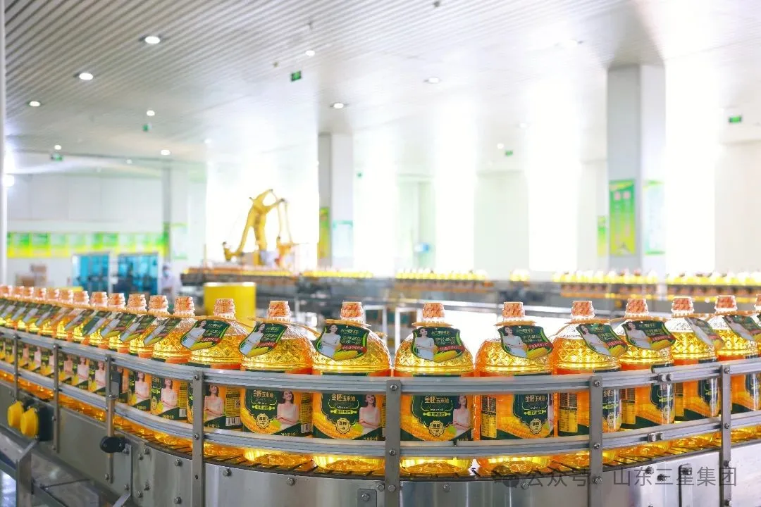 山東三星集團(tuán)六個項(xiàng)目入選2025年山東?。ǖ谝慌┢髽I(yè)技術(shù)創(chuàng)新項(xiàng)目計劃