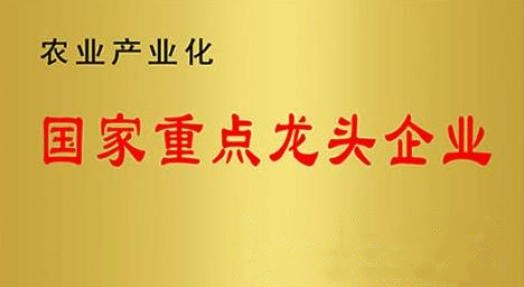 國家重點(diǎn)龍頭企業(yè)！山東三星集團(tuán)連續(xù)上榜