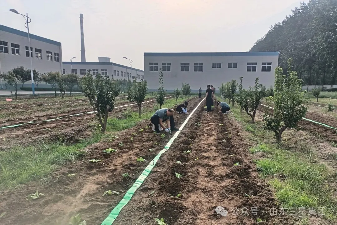 【文韻三星】又是一年播種季 共待收獲喜悅時