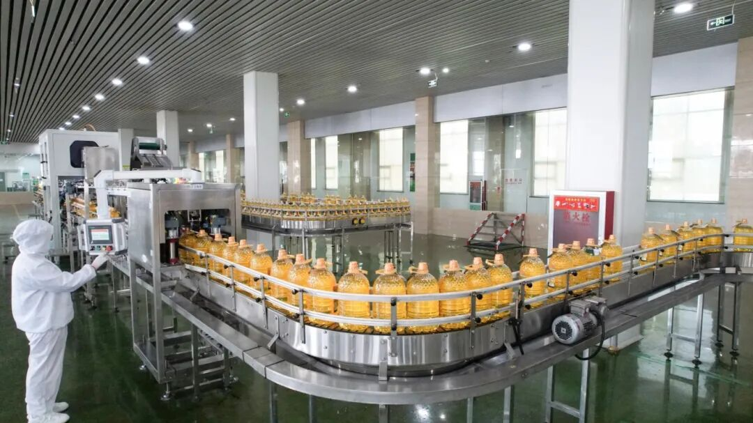 長壽花包裝車間：穩(wěn)質(zhì)提效奮戰(zhàn)第四季度 凝心聚力沖刺全年目標